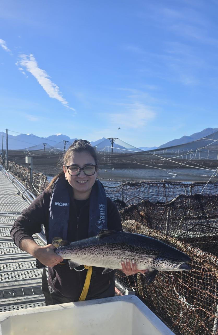 Profesional de WICA sosteniendo un salmón en una plataforma de cultivo